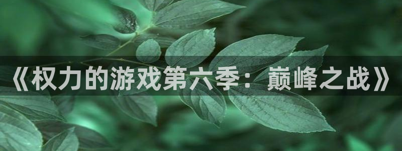 《权力的游戏第六季：巅峰之战》