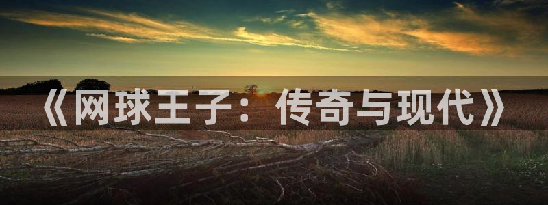 《网球王子：传奇与现代》