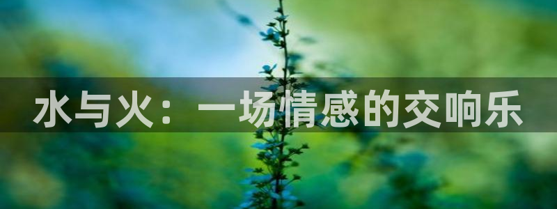 一竞技注册：水与火：一场情感的交响乐