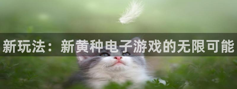 一竞技DOTA2选手Saksa：新玩法：新黄种电子游戏的无限