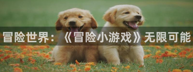 一竞技官方网站入口：冒险世界：《冒险小游戏》无限可能