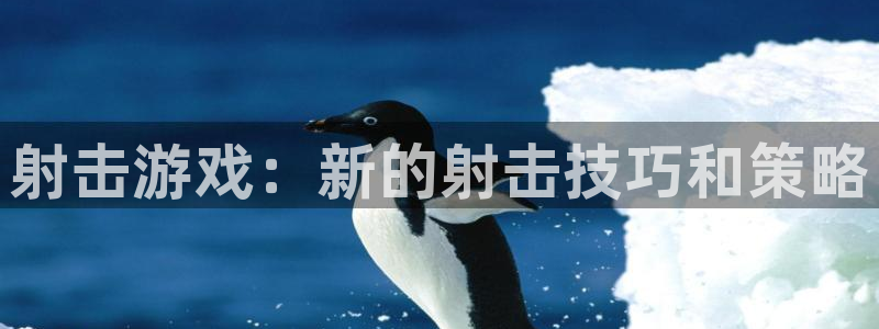 一竞技官网登录方式：射击游戏：新的射击技巧和策略