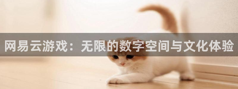一竞技DOTA2选手Saksa：网易云游戏：无限的数字空间与