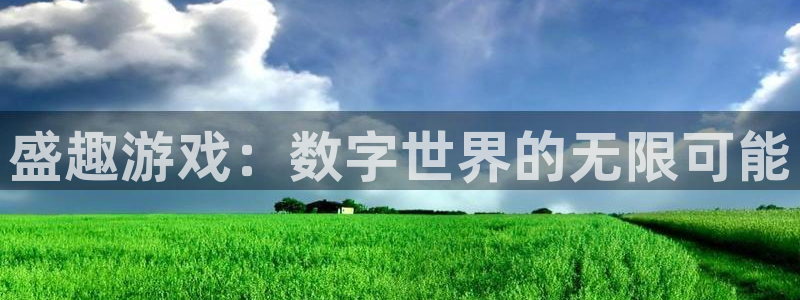 一竞技平台可以借钱吗：盛趣游戏：数字世界的无限可能