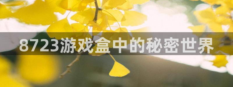一竞技入口：8723游戏盒中的秘密世界