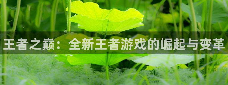 一竞技app官方入口