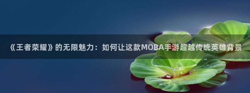 一竞技测速网站填什么